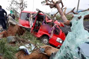 쾅… 쾅… 쾅… 쾅… 쾅… 귀갓길 할머니들 8명 참변