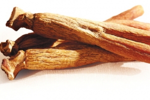 미세먼지, 각종 호흡기 질환 발생... 면역 기능 떨어뜨려