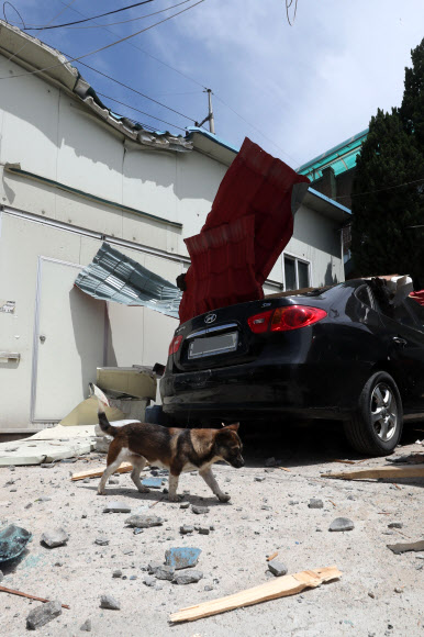 전쟁터 같은 폭발사고 인근 현장  7일 경기도 양주시 봉양동의 가스 폭발 추정 사고 인근 현장에서 주차된 차량이 폭발 파편으로 망가져 있다. 2018.5.7연합뉴스