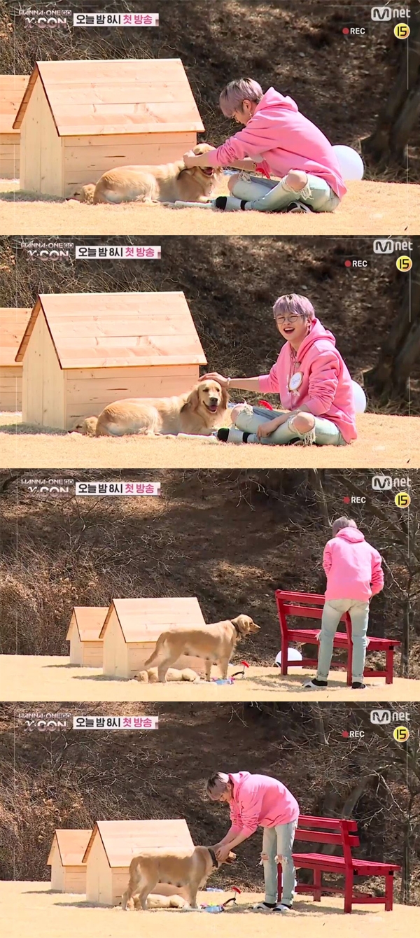 워너원고 강다니엘