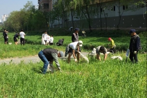 송파 ‘외래식물 제거의 날’ 지정