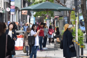 서초 명물 서리풀… 올 여름도 ‘히트 예감’