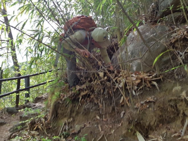최치원이 바위에 쓴 완폭대 석각