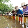 모심기 체험 나선 송파 꼬마 농부들
