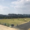 대구 금호강 무료 야영장 개장