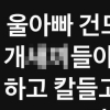 원희룡 딸 “칼 들고 복수” 썼다가 “가족으로서 흥분…죄송”
