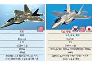 [월드 Zoom in] 숨어야 이긴다…스텔스機, 동북아 하늘 쟁탈전