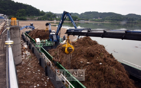 3일간의 폭우 뒤… 팔당호 부유 쓰레기 700t 수거 작업