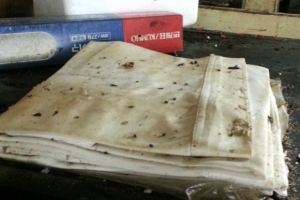 부산 유명 ‘맛집’ 맞나 쥐 똥 행주에 쓰레기옹서 해동