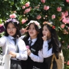 [서울포토] 장미보다 더 화사하게~