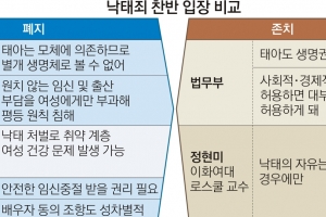 “태아도 생명체” vs “모체 부속된 생명”…  헌재 달군 ‘낙태죄 공방’