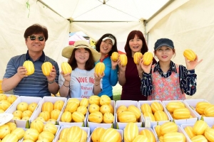 금빛사랑 채우go! 행복나누go!...25일부터 여주 금사참외축제