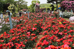 맑지만 더운 날씨...미세먼지와 자외선 대비하세요