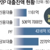 고금리·부동산 편중… 변질되는 ‘P2P 대출’