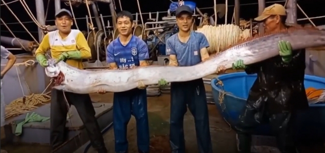 한 무리의 어부들이 베트남 해안에서 잡은 거대 산갈치 모습(유튜브 영상 캡처)