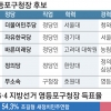[6·13 판세 분석-서울시 기초단체장] 與 ‘새얼굴’ 前 靑행정관 vs 現 구청장 무소속 출마… 5자 구도