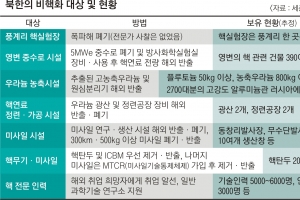 김영철·폼페이오 CVID-CVIG ‘빅딜’… 열쇠는 美 보상 수준