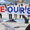 바다의 날… “고래고기 유통 금지를”