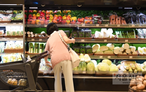 채소류 가격이 13.5% 상승하는등 밥상물가가 불안한 가운데 1일 오전 서울에 한 백화점에서 시민이 채소를 고르고 있다. 2018.6.1  도준석 기자 pado@seoul.co.kr