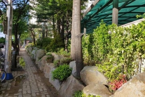 담장 허물었더니 마을에 꽃이 피었네