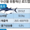 유통망 확대·위생관리 강화 중점 ‘수산물 유통혁신 로드맵’ 나왔다