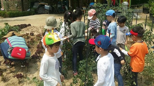 지난해 6월 ‘자투리 텃밭 기부의 날’에 어린이들이 텃밭에서 어렵게 생활하는 이웃에게 기부할 농작물을 수확하고 있다.  광진구 제공