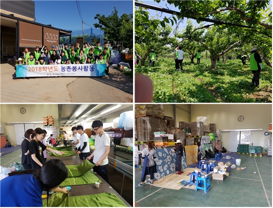 백석예술대학교 사회봉사센터가 6월1일과 2일(1박2일), 충청남도 천안시 성환읍의 배과수원에서 농촌봉사활동을 실시했다.