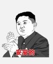 김정은 위원장을 형상화한 이모티콘. 출처:위챗