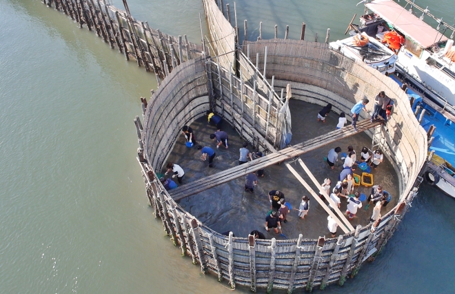 남해 지족해협에 설치돼 있는 죽방렴