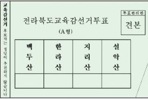 기호 없는 교육감 선거 투표용지…후보 이름 정확히 알고 기표해야