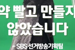 “예능보다 재밌다”…SBS 선거방송 2049 시청률 1위 차지
