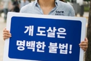 개 식용목적 도살 ‘동물보호법 위반’ 첫 판결…개농장 주인 벌금