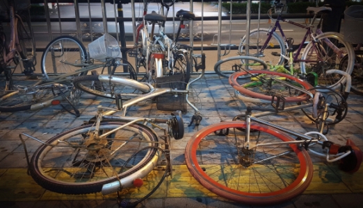 [한 컷 세상] 팽개친 자전거, 팽개친 양심