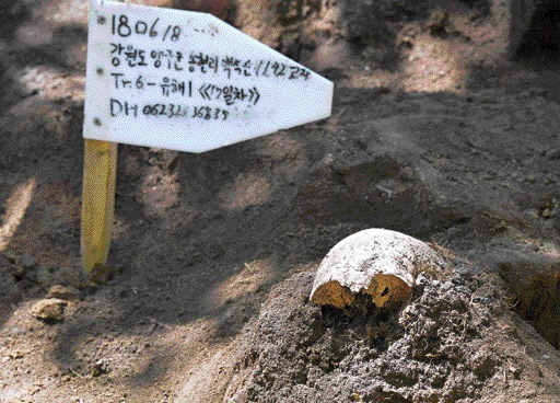 국방부 유해발굴감식단과 21사단 장병들이 강원 양구군 백석산 고지에서 작업을 시작한 지 17일 만에 수습한 전사자의 두개골 부위. 이날 수습된 유해는 약식 제례를 마친 후 국방부 유해발굴단의 DNA 감식 등 신원 확인 절차를 거쳐 국립현충원에 안장될 예정이다.