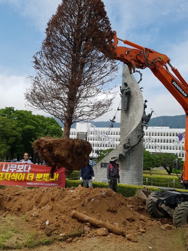 경남도 채무제로 기념나무 주목 제거