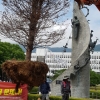 홍준표 전 경남지사가 심은 채무제로 기념나무 2년만에 뽑혀 폐기처분