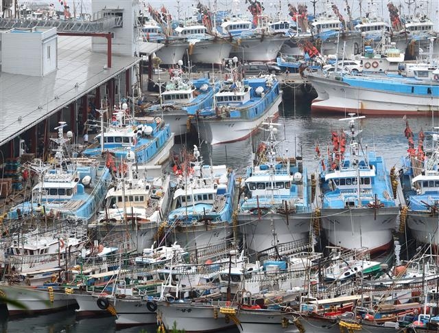 제주 오늘 태풍 ‘쁘라삐룬’ 직접 영향권…서귀포항에 대피한 어선들