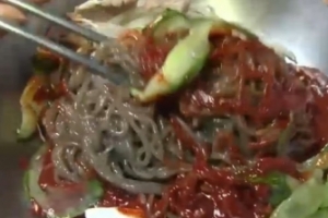 ‘생활의 달인’ 막국수, 육수 비법은 닭? 제기동 ‘춘천메밀막국수’