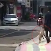제주도서 개 질질 끌고 간 남성 ‘공분’