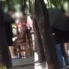 대구 ‘평화의 소녀상’ 쓰다듬고 돌로 치고…알고 보니 심신미약 중학생