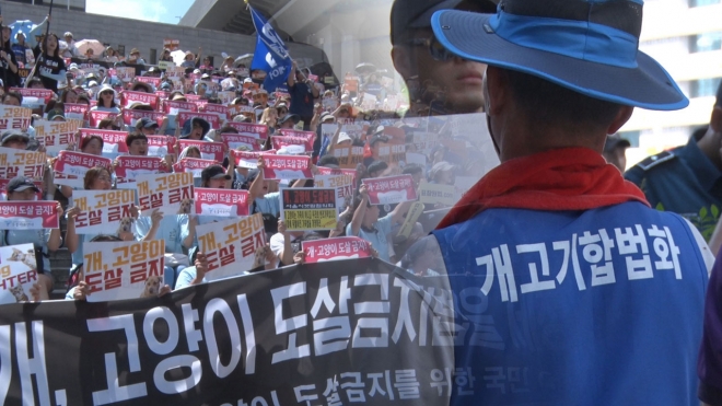 동물권단체와 대한육견협회가 개고기 식용 문제를 두고 찬반 집회를 열었다.