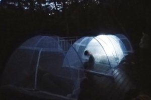 지친 마음 보듬는 ‘별 헤는 숲’