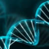 국내연구진, DNA 2중나선 아닌 4중나선구조 찾았다