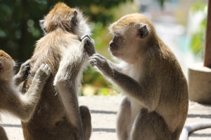 나노 입자로 아토피 해결 길 열렸다