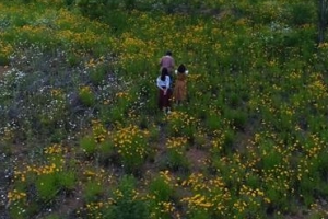 ‘정선의 고현정’ 권혜경씨의 눈에 비친 가리왕산