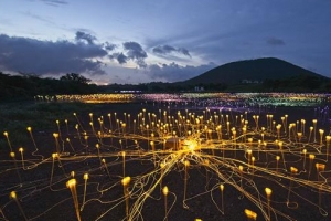 미술에 빠진 제주… 빛으로 물든 제주