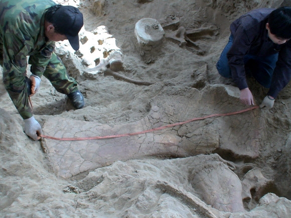 中서 1억 7400만년 전 거대 초식 공룡 화석 발굴…용각류 계보 새로 쓴다