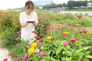 꽃같은 구로 힐링 안양천