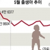 5월 출생아 1년새 8% ‘뚝’… 3만명 붕괴