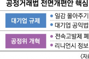 대기업 계열사 24곳 일감 몰아주기 추가 규제